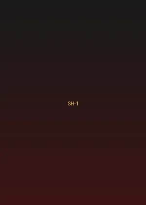 四虎视频 - 江湖风云录海报